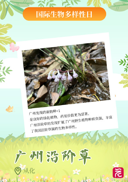 广东平均每三天开一个自然盲盒