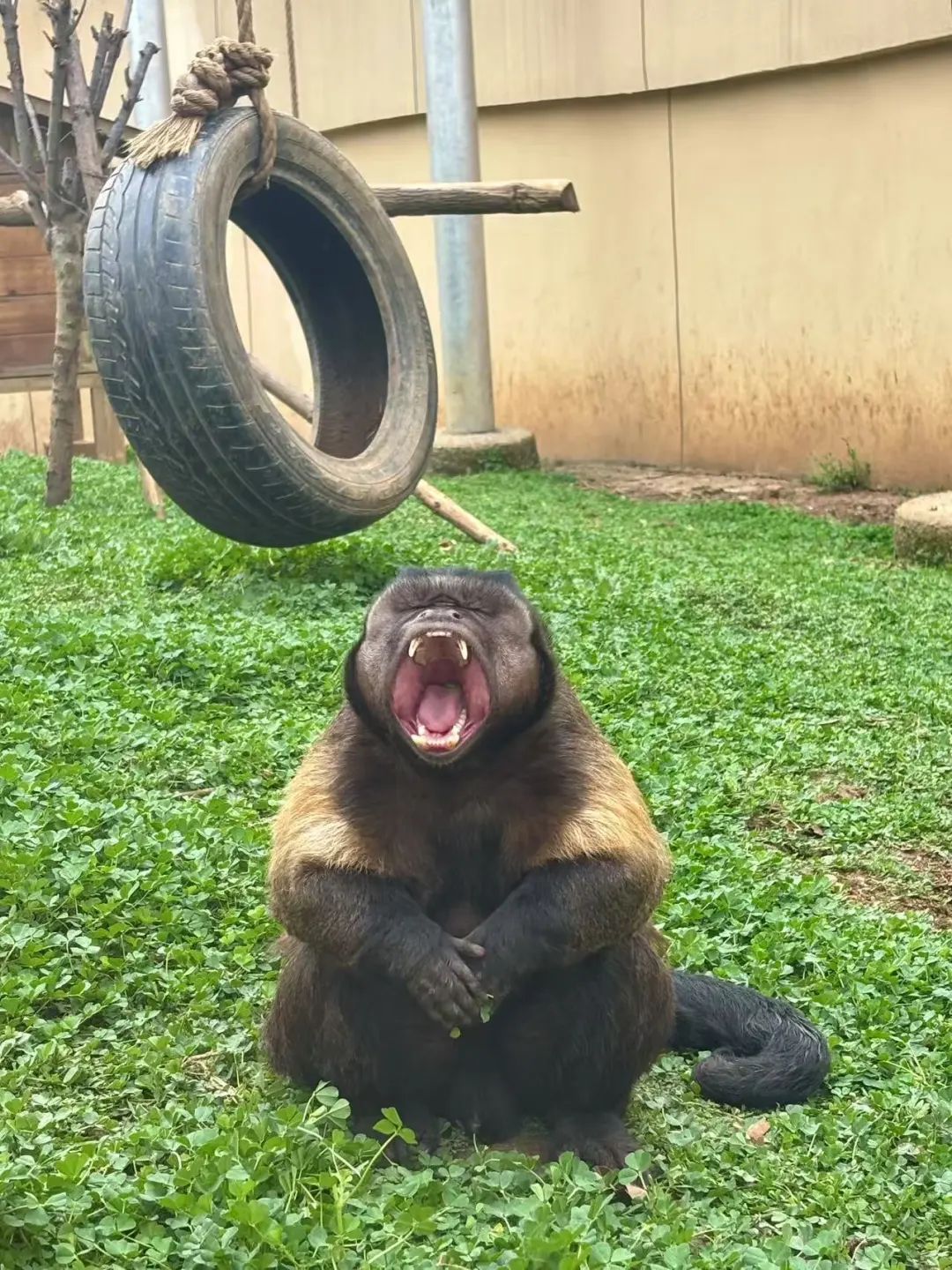 知名网红突发疾病离世！这个月刚火上热搜