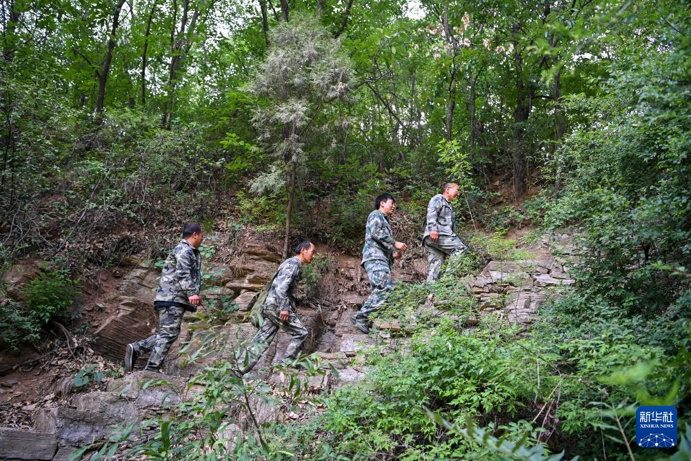 太行山里的猕猴乐园