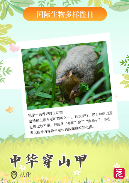 广东平均每三天开一个自然盲盒