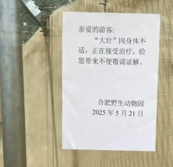 知名网红突发疾病离世！这个月刚火上热搜
