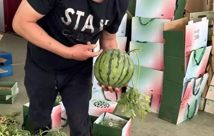 随便拍拍瓜就能月入两万？“验瓜师”火上热搜！001号验瓜师：“非常欢迎年轻人加入”