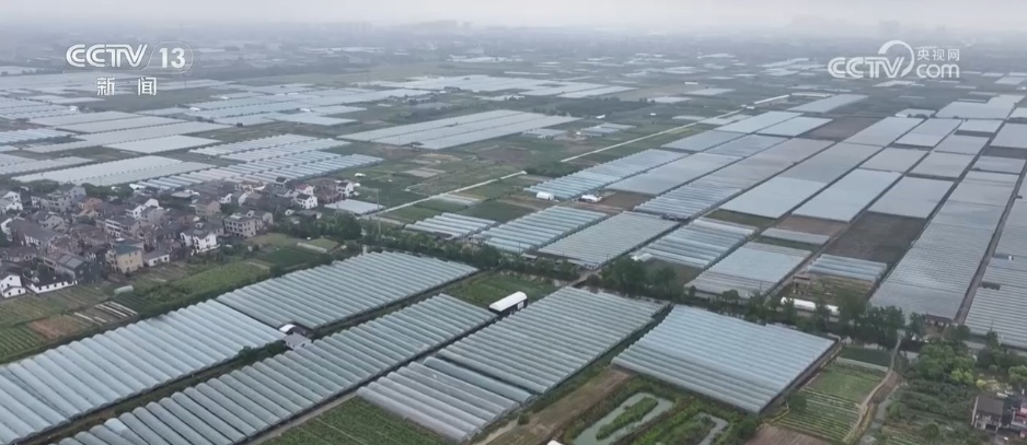 从“新农人”成“兴农人” “90后”返乡走出致富“振兴路”