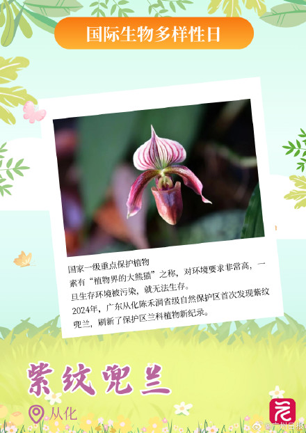 广东平均每三天开一个自然盲盒