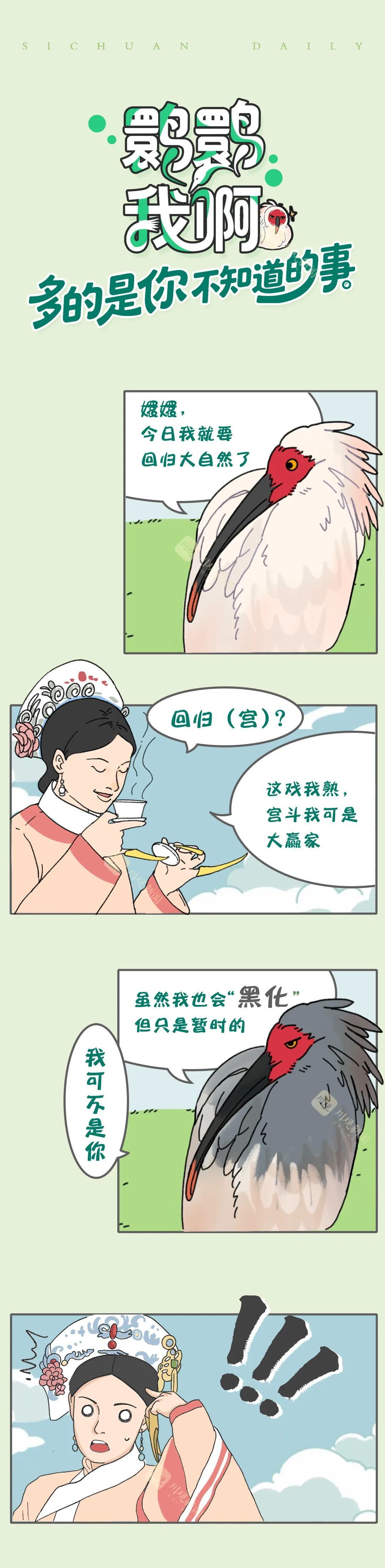 鹮鹮我啊，飞喽！