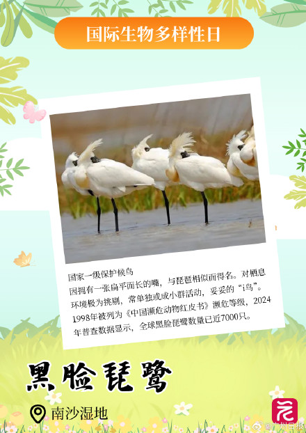 广东平均每三天开一个自然盲盒