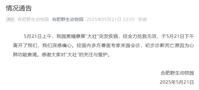 消息传来!“大壮”突发疾病去世,曾因“颜值”出圈 消息传来!“大壮”突发疾病去世,曾因“颜值”出圈