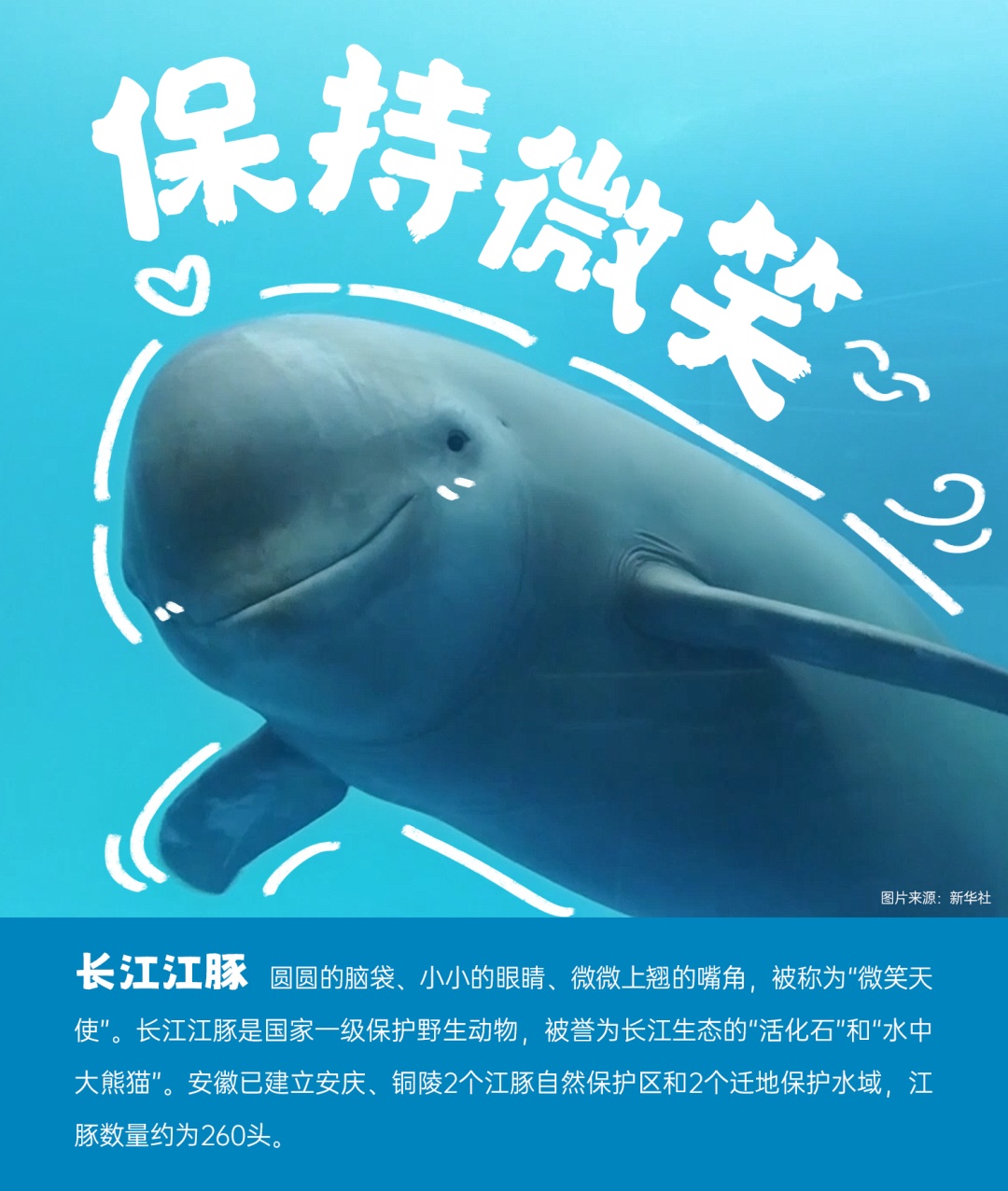 国际生物多样性日丨安徽野生动植物界“戏精”表情包来了