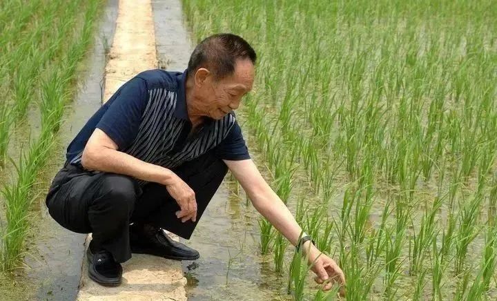 四年了!好好吃饭,就是对他最好的怀念...... 四年了!好好吃饭,就是对他最好的怀念......