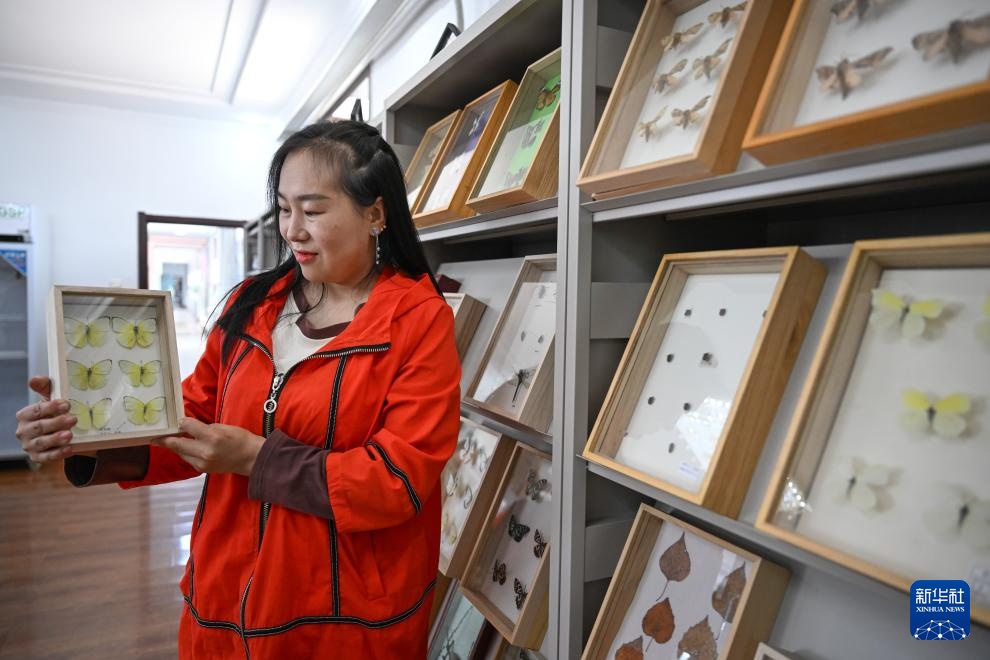 图片故事｜大兴安岭的生物多样性守护者