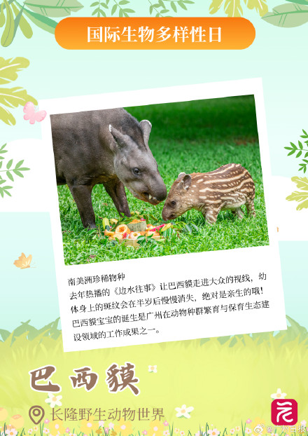 广东平均每三天开一个自然盲盒