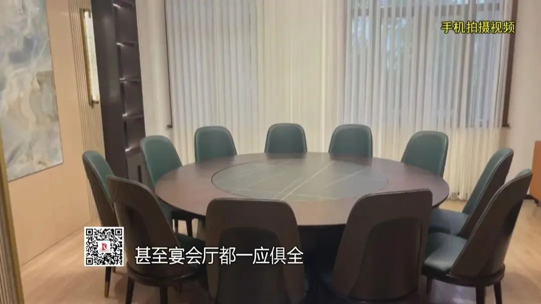 女司机冒充“副总裁”，伪造多重身份玩崩数亿资金链，儿子竟成最后受害者
