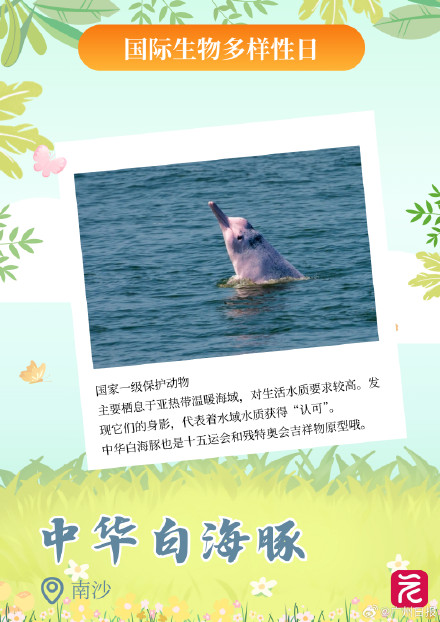 广东平均每三天开一个自然盲盒