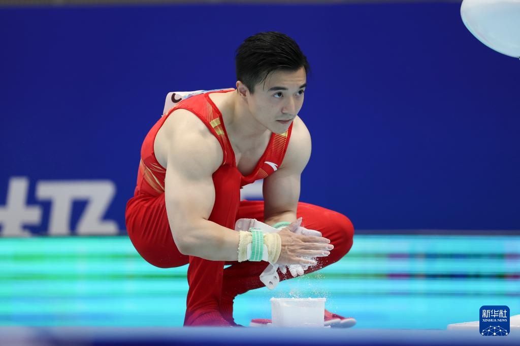 全国体操锦标赛:刘洋夺得男子吊环冠军 全国体操锦标赛:刘洋夺得男子吊环冠军