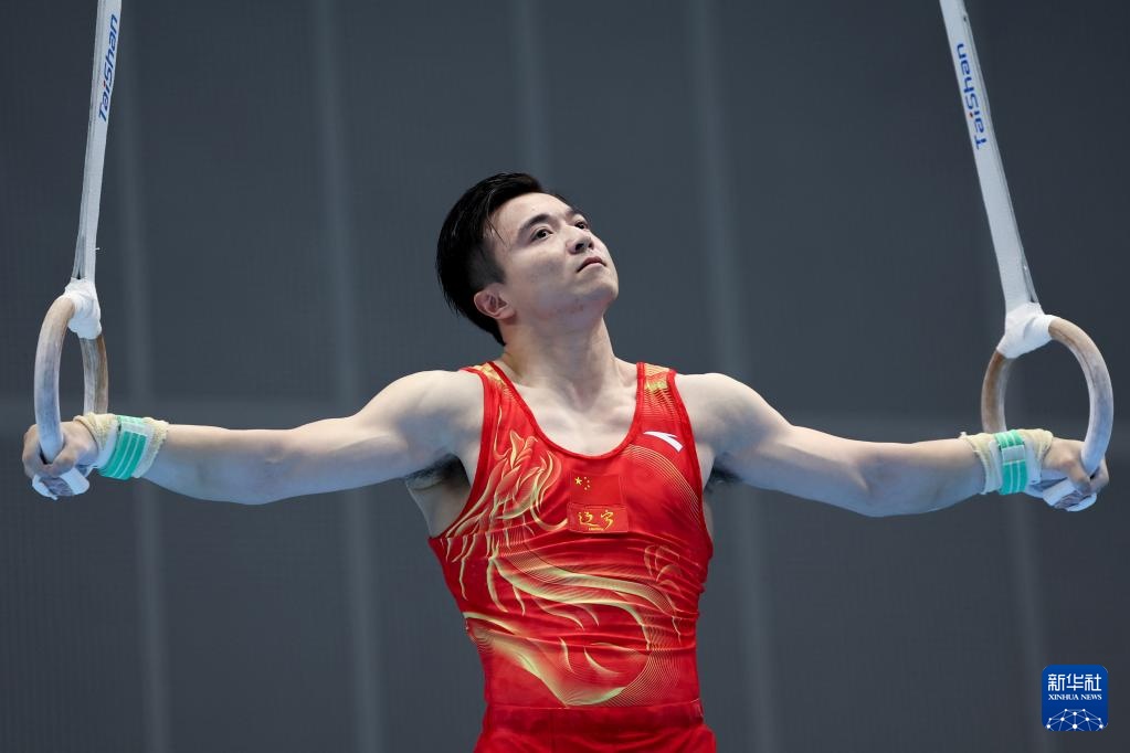 全国体操锦标赛:刘洋夺得男子吊环冠军 全国体操锦标赛:刘洋夺得男子吊环冠军