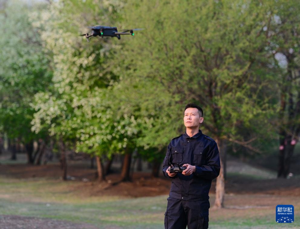 图片故事｜大兴安岭的生物多样性守护者