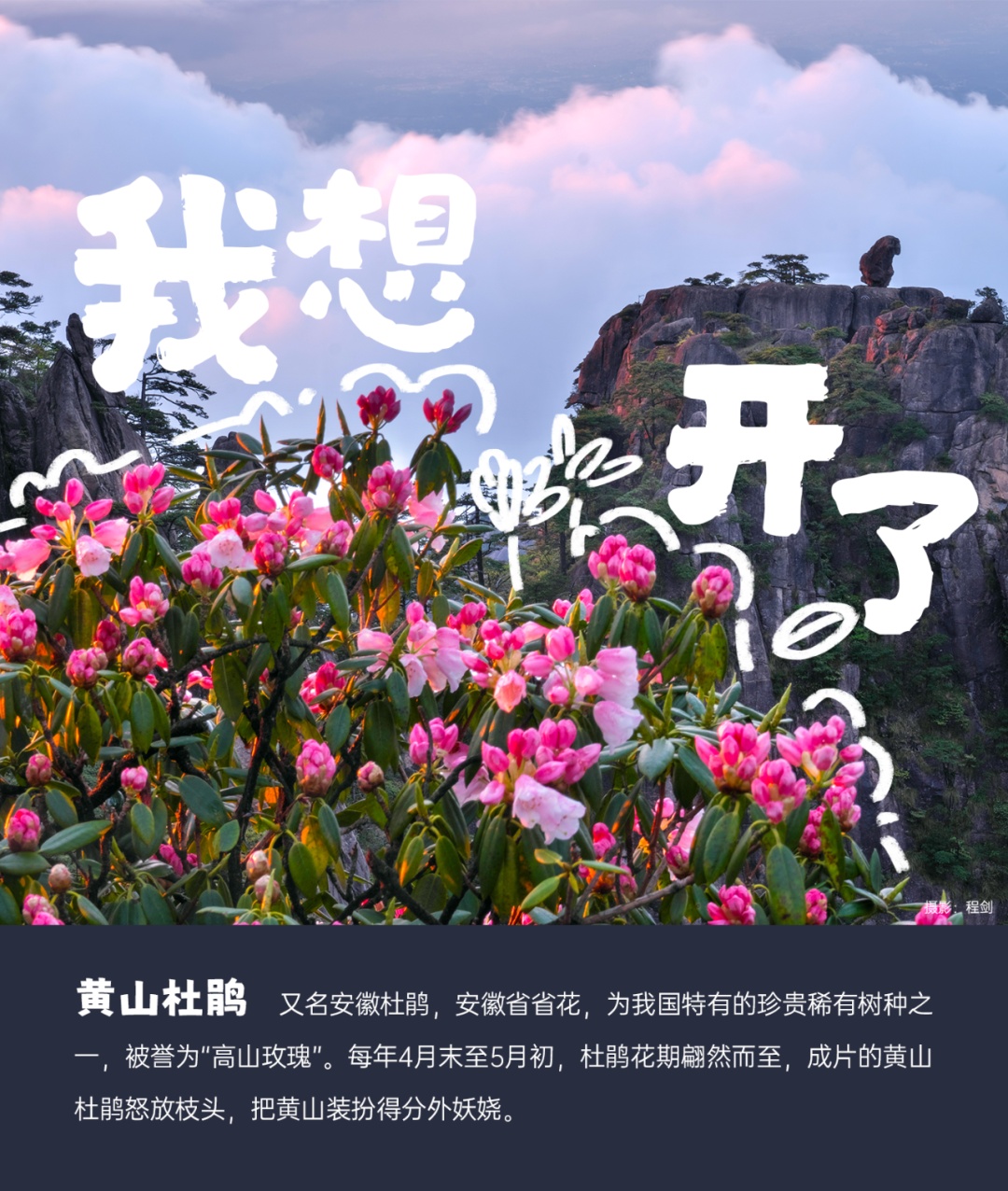 国际生物多样性日丨安徽野生动植物界“戏精”表情包来了