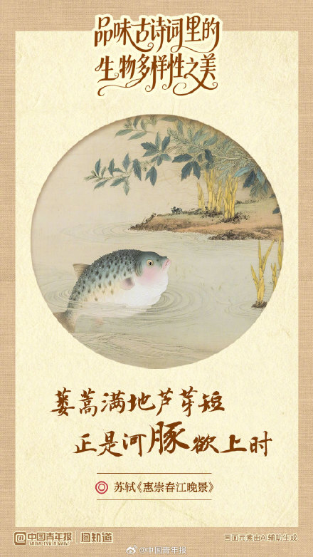 品味古诗词里的生物多样性之美