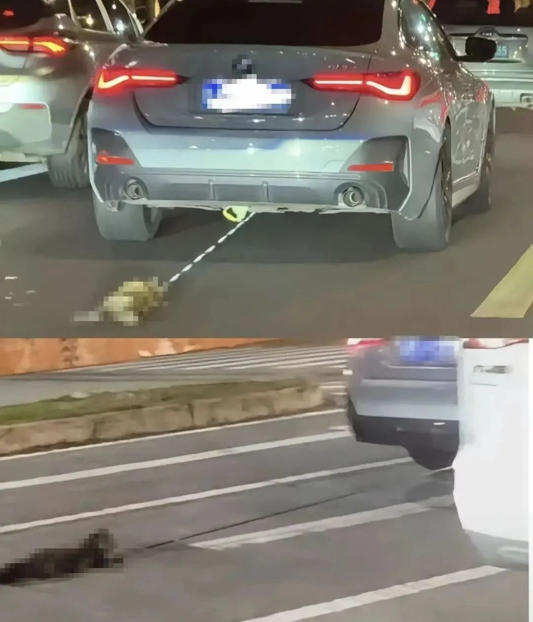 警方再通报“汽车拖猫事件”，3人被行拘→