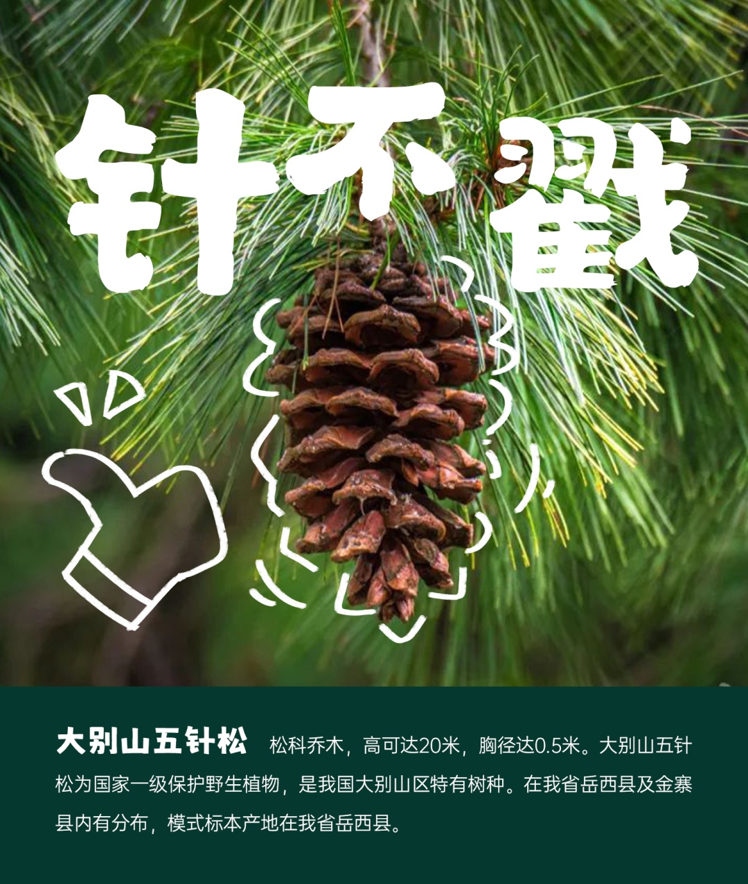 国际生物多样性日丨安徽野生动植物界“戏精”表情包来了