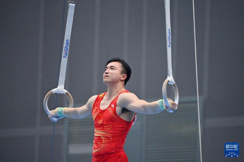 全国体操锦标赛:刘洋夺得男子吊环冠军 全国体操锦标赛:刘洋夺得男子吊环冠军