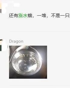 麻了！路面、空中都是虫，重庆网友：密集恐惧症都犯了