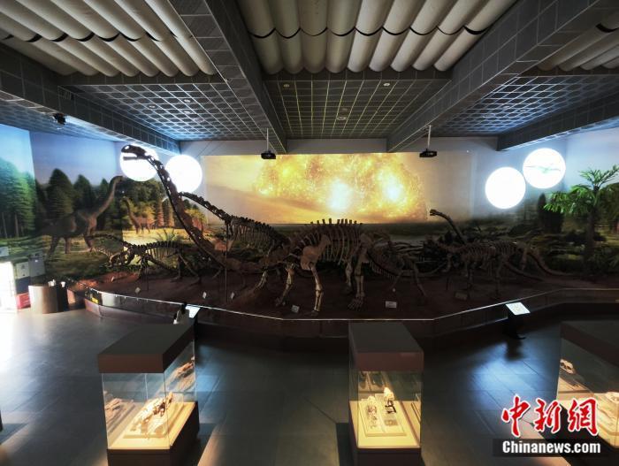 刷手机不如“挖”恐龙?这所博物馆专治青少年“电子沉迷” 刷手机不如“挖”恐龙?这所博物馆专治青少年“电子沉迷”