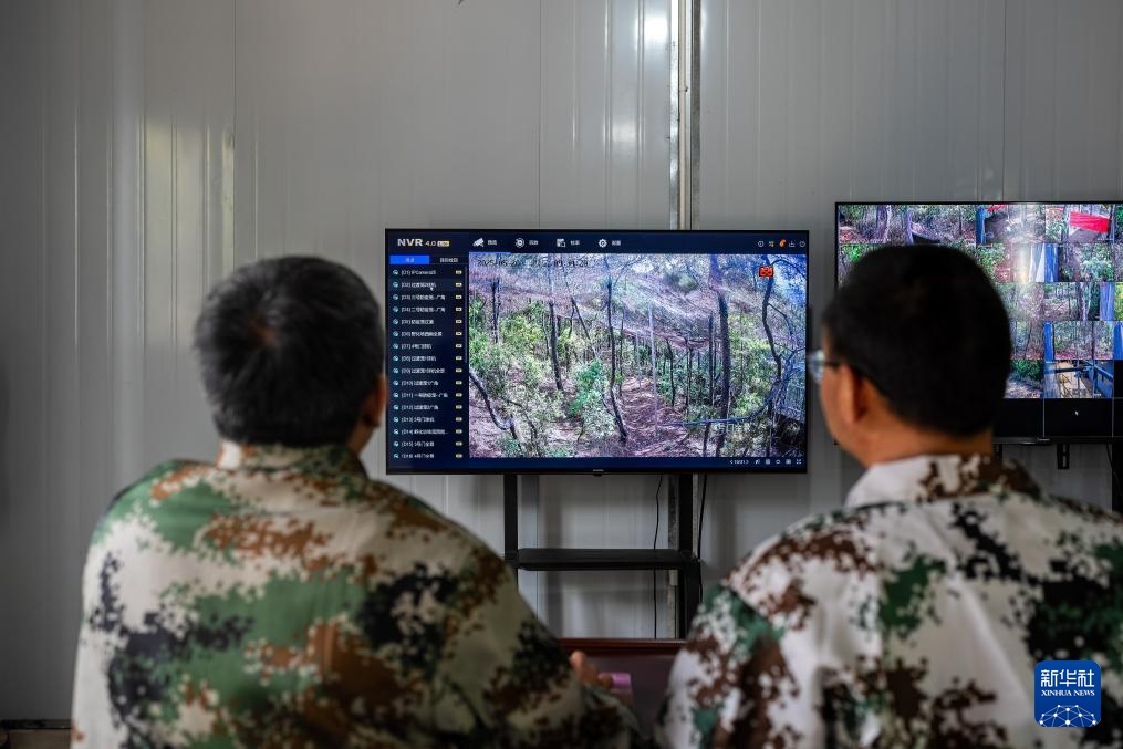 新华全媒+丨濒危物种绿孔雀人工繁育与野化放归试验取得关键进展