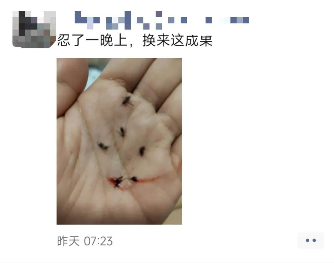 这两天,不少广东人凌晨大喊:根本睡不着!重要提醒 这两天,不少广东人凌晨大喊:根本睡不着!重要提醒