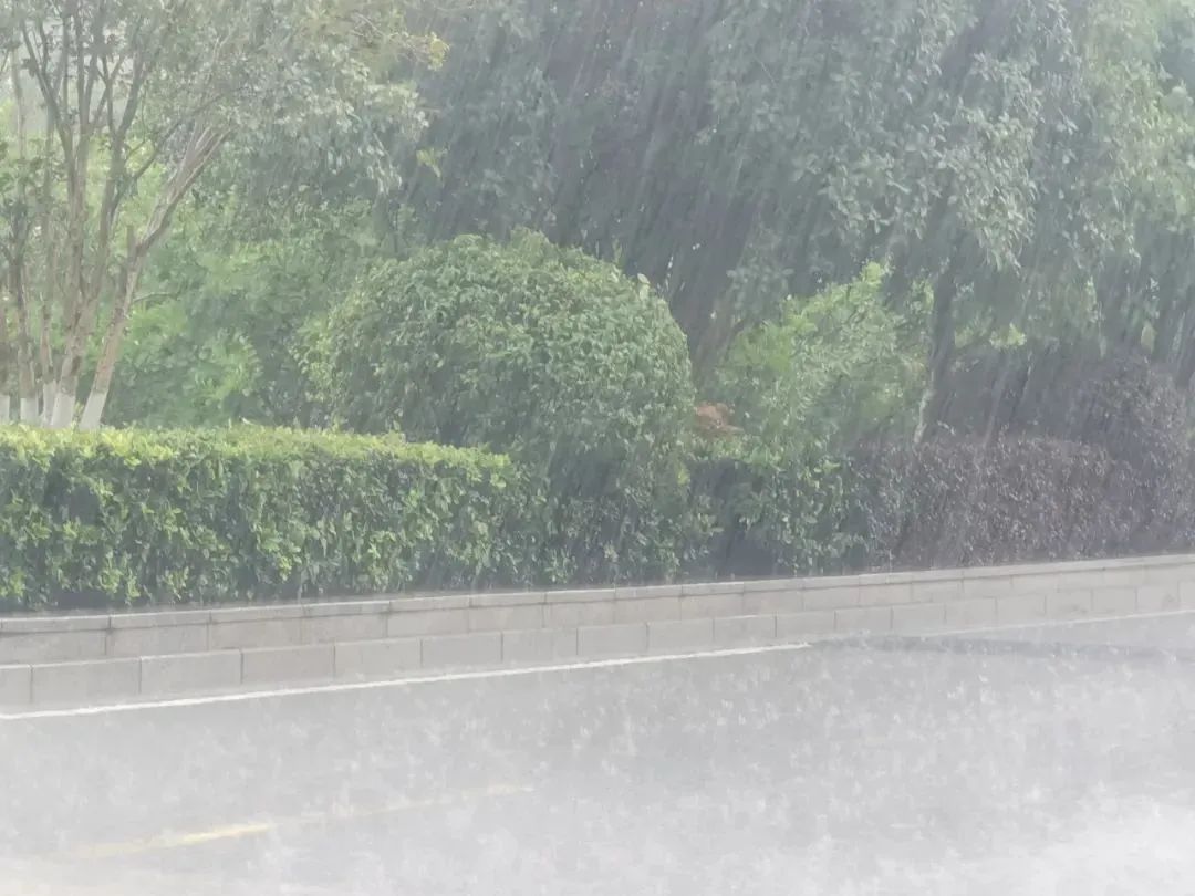 暴雨临灾警报！武汉交警发布紧急提醒