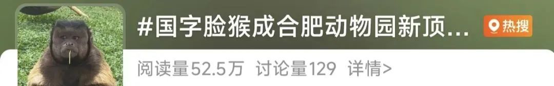 知名网红突发疾病离世！这个月刚火上热搜