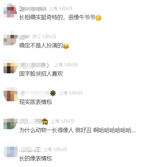 知名网红突发疾病离世！这个月刚火上热搜