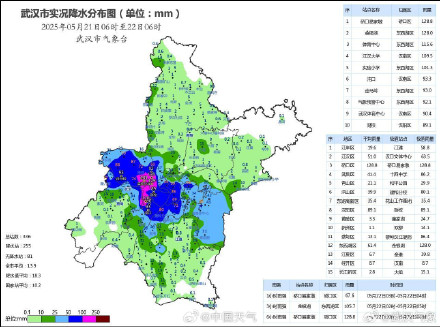 暴雨大暴雨来袭！武汉强降雨并未结束 暴雨红色预警生效中
