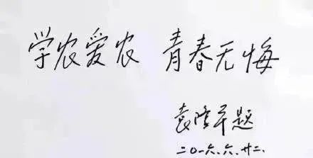 四年了!好好吃饭,就是对他最好的怀念...... 四年了!好好吃饭,就是对他最好的怀念......