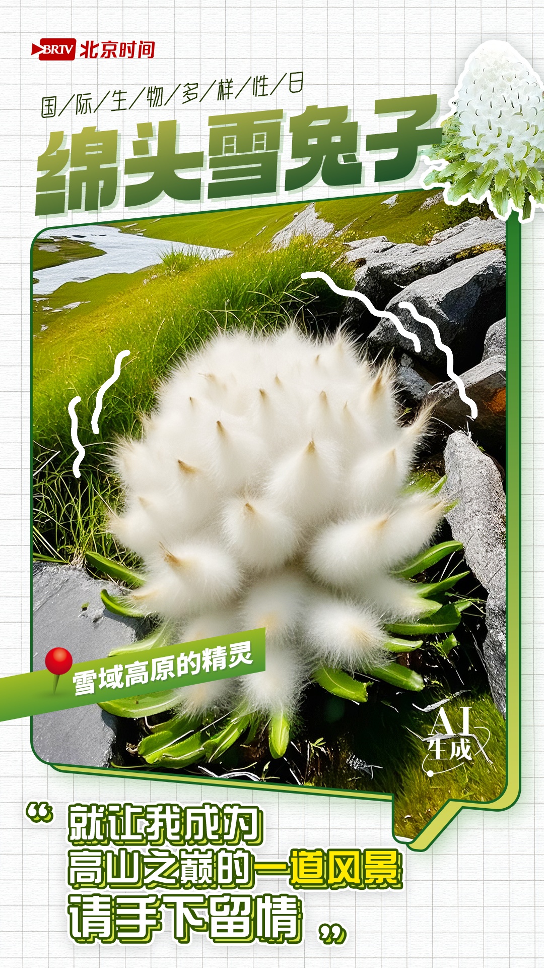 国际生物多样性日｜你们愿意成为保护我的盔甲吗？