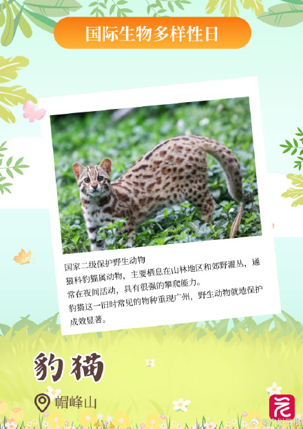 广东平均每三天开一个自然盲盒