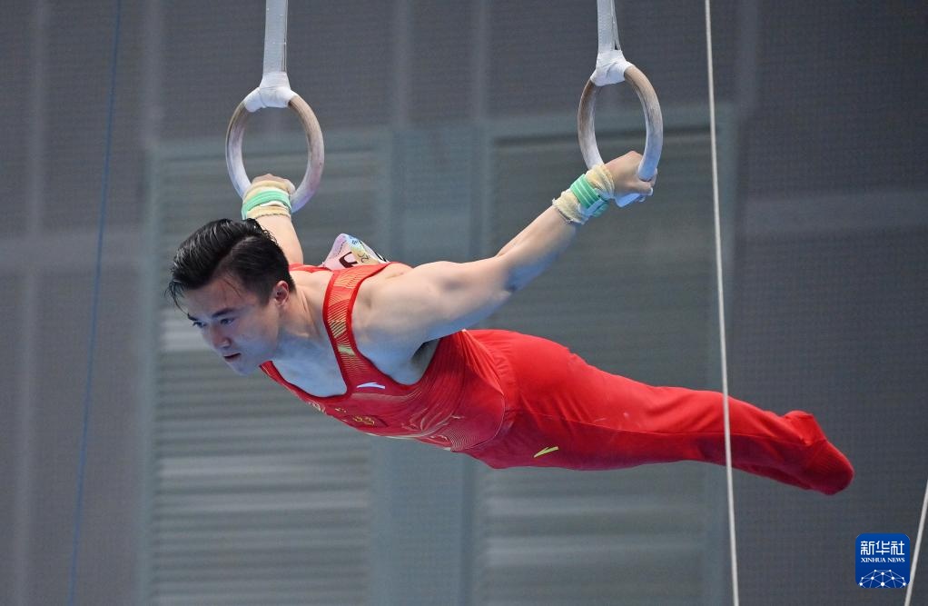 全国体操锦标赛:刘洋夺得男子吊环冠军 全国体操锦标赛:刘洋夺得男子吊环冠军