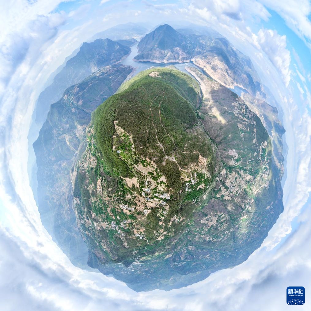 新华全媒+丨濒危物种绿孔雀人工繁育与野化放归试验取得关键进展