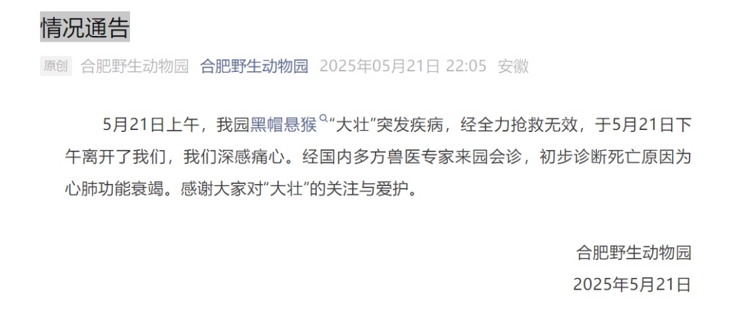 知名网红突发疾病离世！这个月刚火上热搜