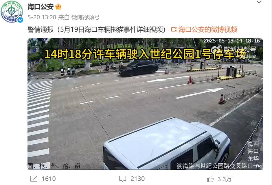 “汽车当街拖行小猫”,警方凌晨再通报! “汽车当街拖行小猫”,警方凌晨再通报!