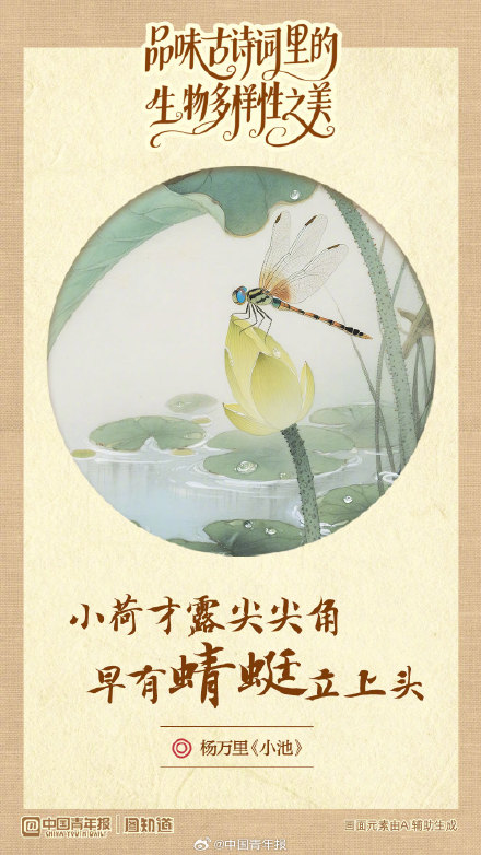 品味古诗词里的生物多样性之美