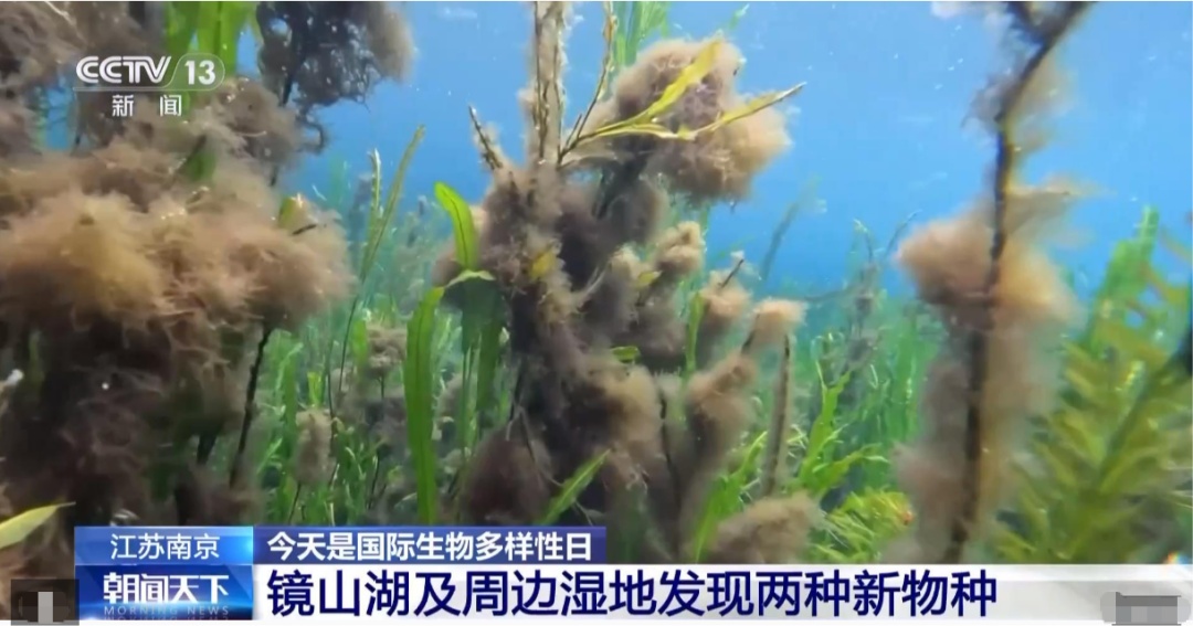 我国生物多样性保护成效出炉！