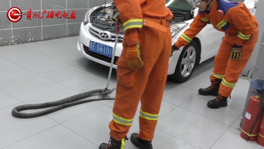 啊啊啊啊啊啊啊啊啊啊~车内有蛇！这么……大！