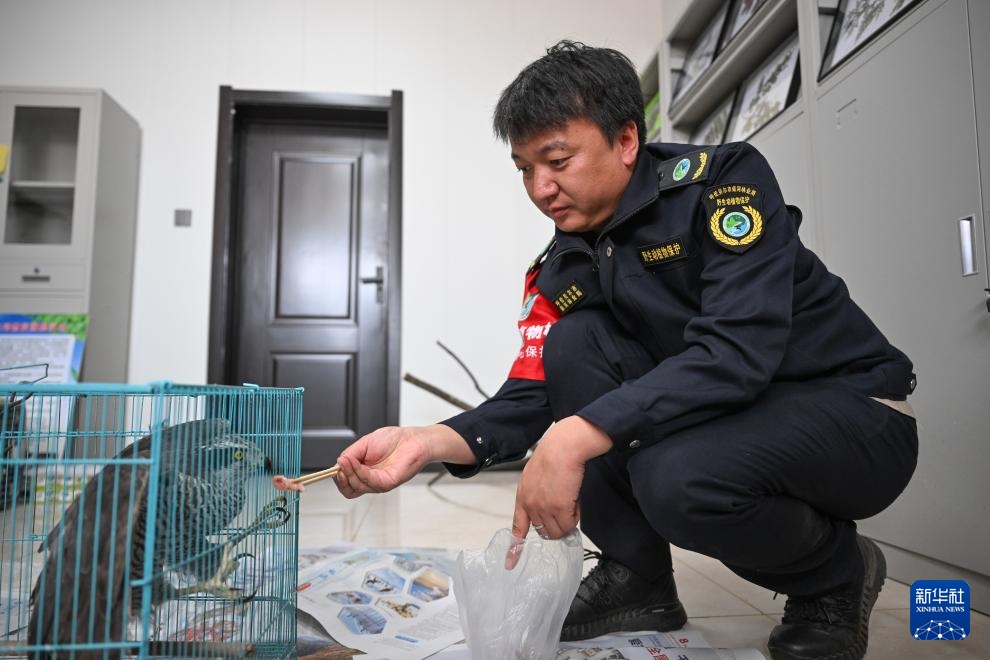 图片故事｜大兴安岭的生物多样性守护者