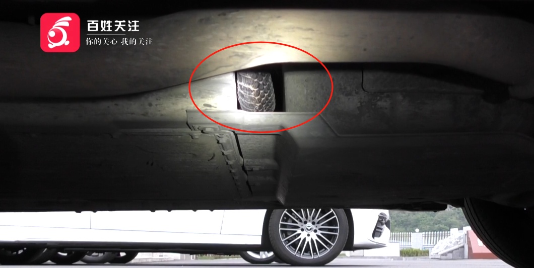 啊啊啊啊啊啊啊啊啊啊~车内有蛇！这么……大！