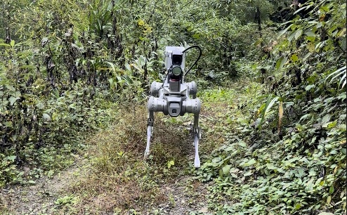 科幻照进现实？成都造机器狗“削树如泥”