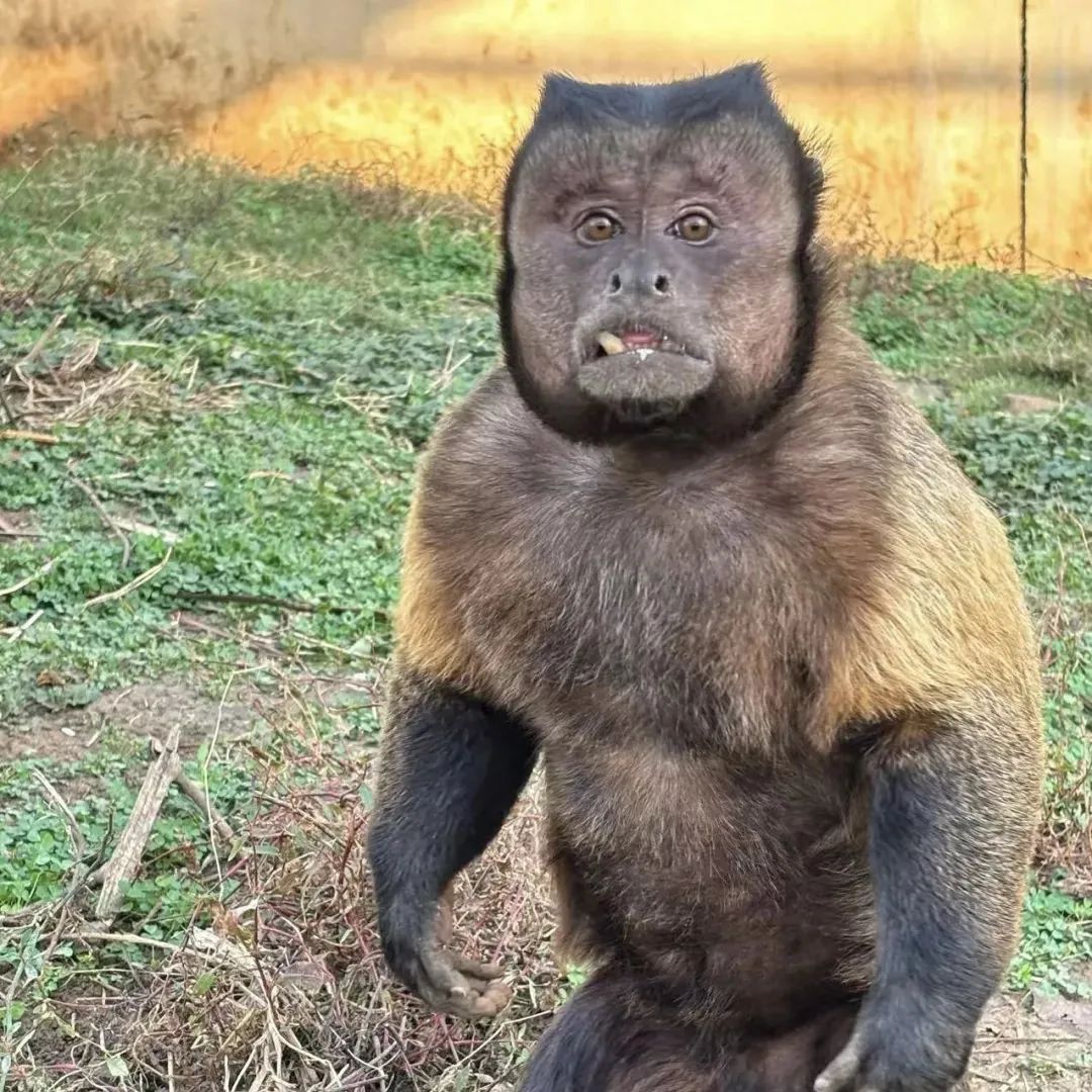 知名网红突发疾病离世！这个月刚火上热搜