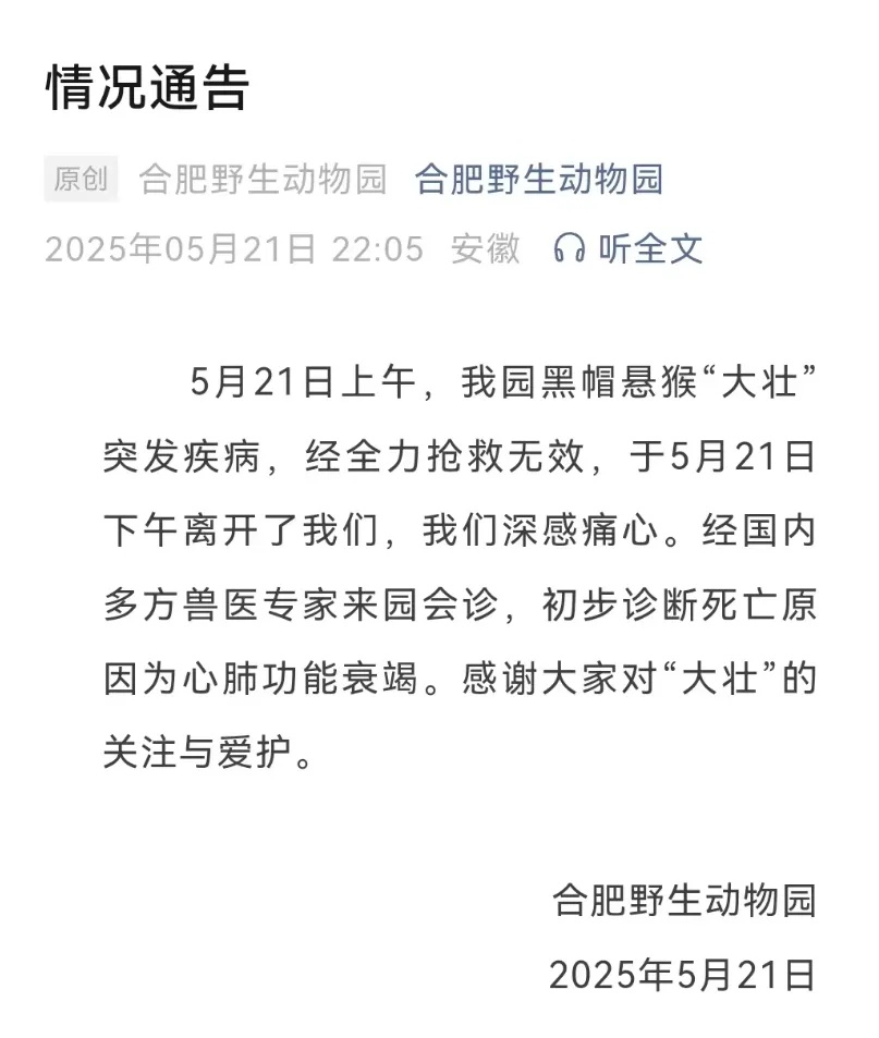 合肥野生动物园通报:国字脸猴子“大壮”去世 合肥野生动物园通报:国字脸猴子“大壮”去世