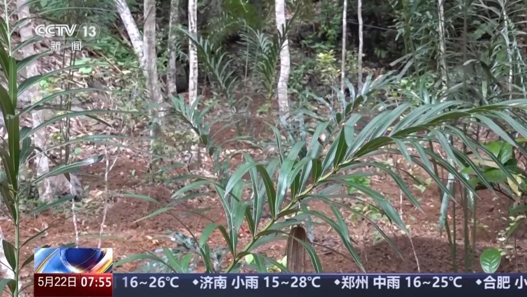 我国生物多样性保护成效出炉！