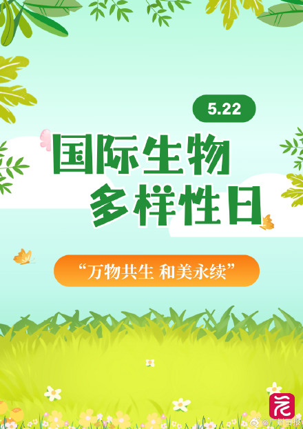 广东平均每三天开一个自然盲盒